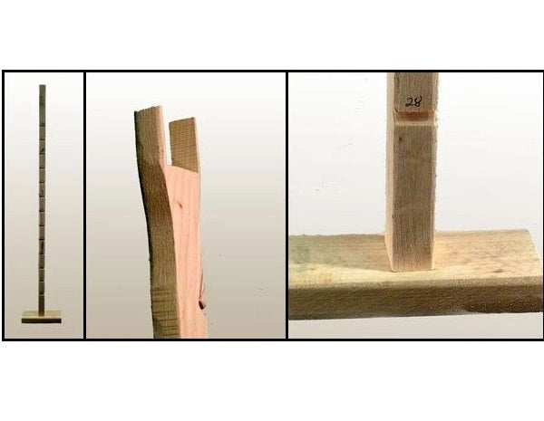 Tillering Stick