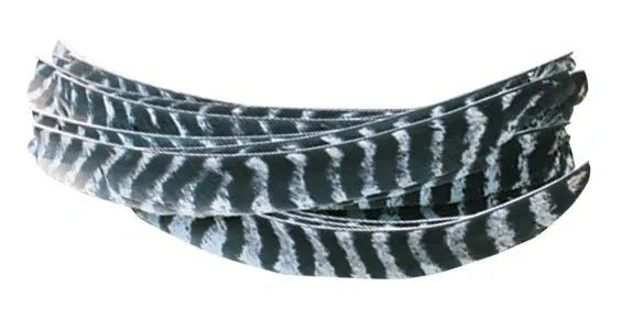 Wild Turkey Natural Barred Feathers - Ground