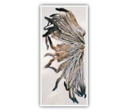 Tanned Mink Fur